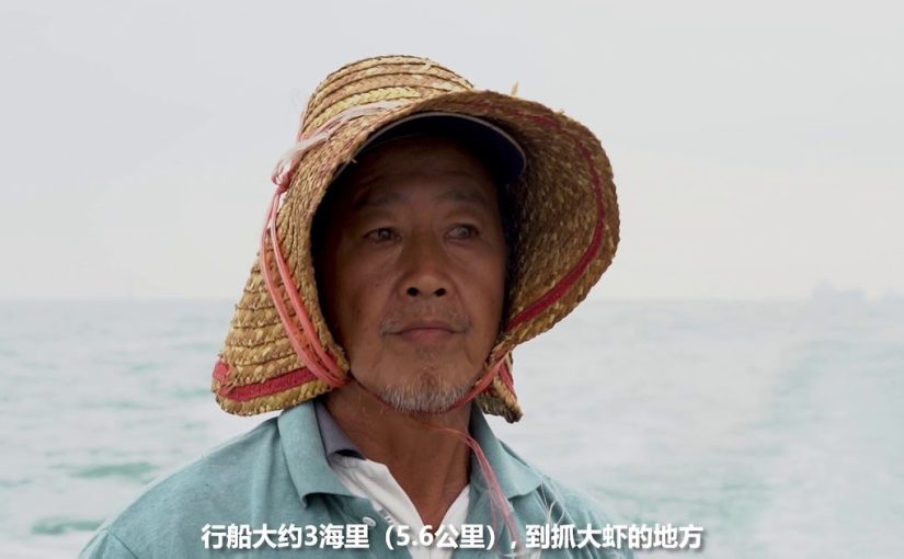 Prawn Fishing