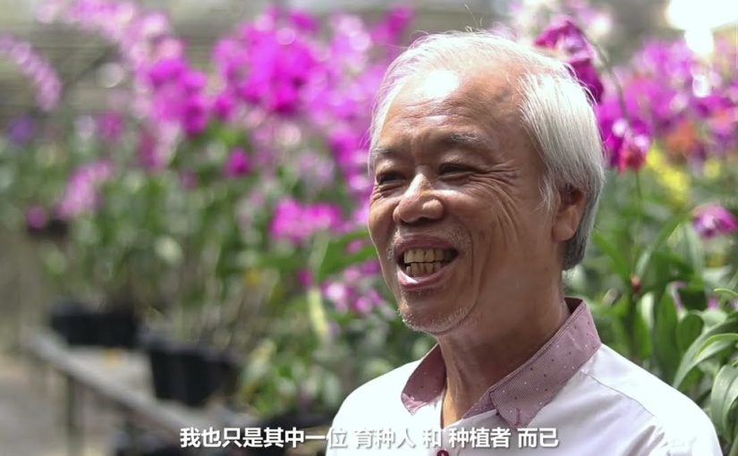 Richard Ng: Orchid Breeder