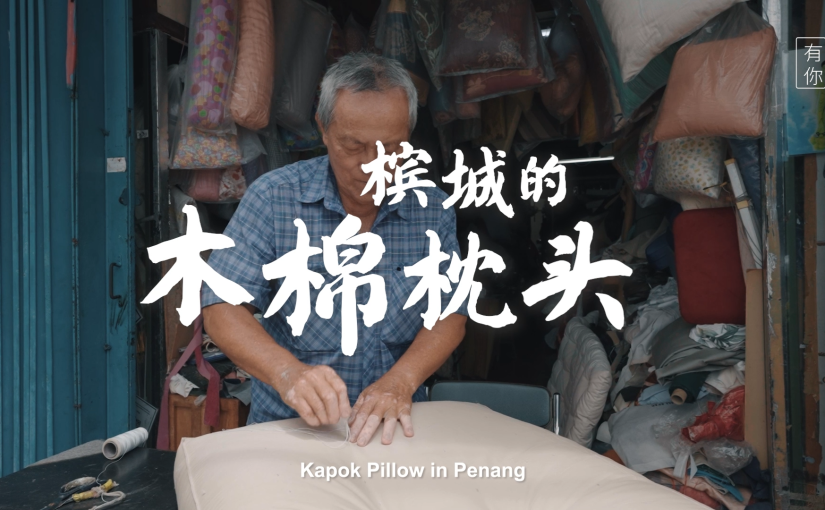 Kapok Pillow in Penang